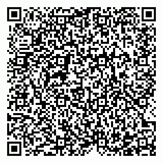 vCard 78122080004