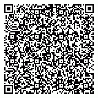 vCard 78122080021
