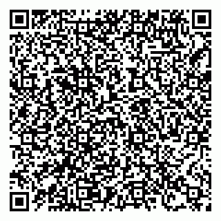 vCard 78122080031