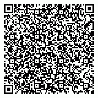 vCard 78122080040
