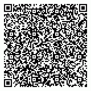 vCard 78122080041