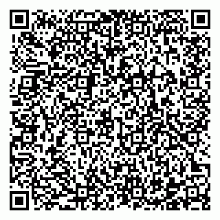 vCard 78122080132