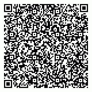 vCard 78122080300