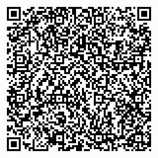 vCard 78122080301
