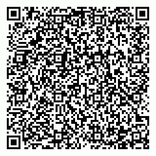 vCard 78122080331