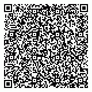 vCard 78122080381