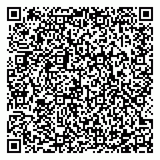 vCard 78122080385