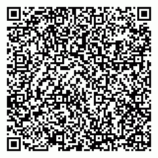 vCard 78122080387