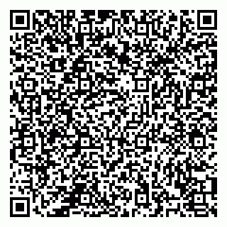 vCard 78122080389