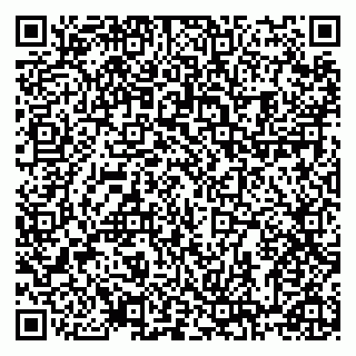 vCard 78122080390