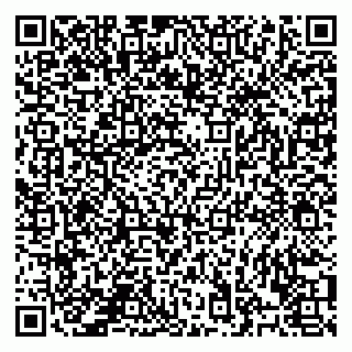 vCard 78122080395