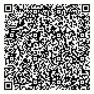 vCard 78122132273