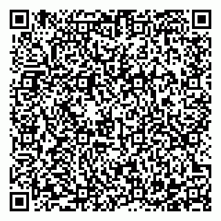 vCard 78122133221