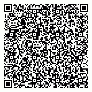 vCard 78122133400