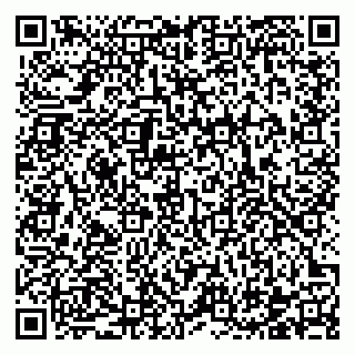 vCard 78122140001