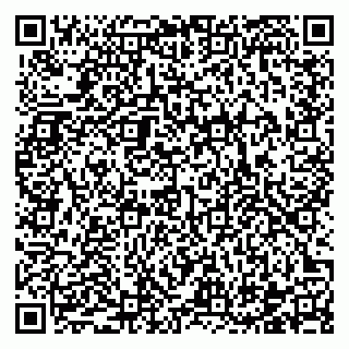 vCard 78122140003
