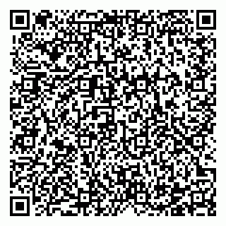 vCard 78122140013