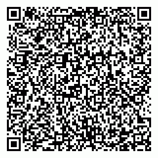 vCard 78122140019