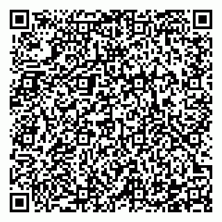 vCard 78122140023