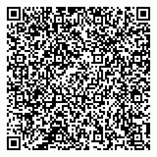 vCard 78122140029