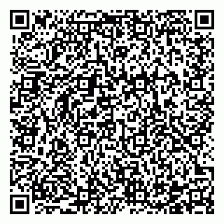 vCard 78122140031