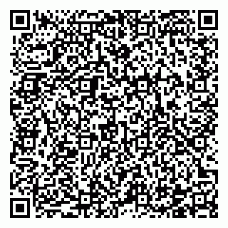 vCard 78122140033