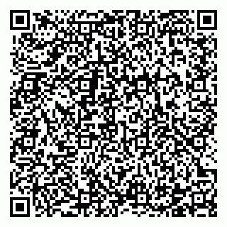 vCard 78122140040