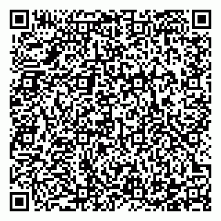 vCard 78122140041