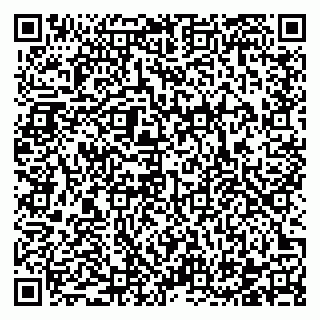 vCard 78122140063
