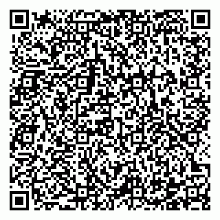 vCard 78122140065