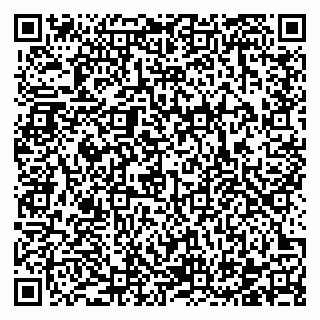 vCard 78122140069
