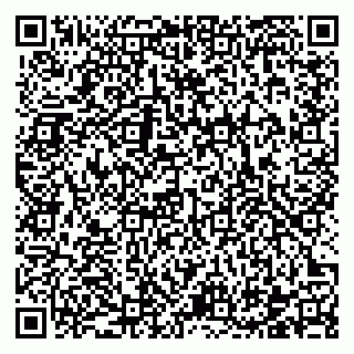 vCard 78122140080