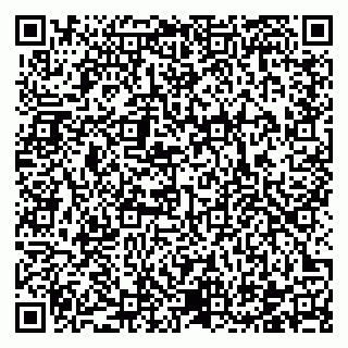 vCard 78122140081