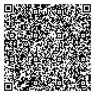 vCard 78122140106