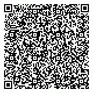 vCard 78122140263