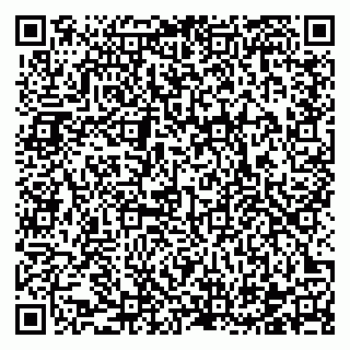 vCard 78122140381