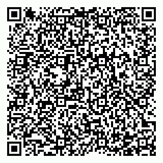 vCard 78122140383