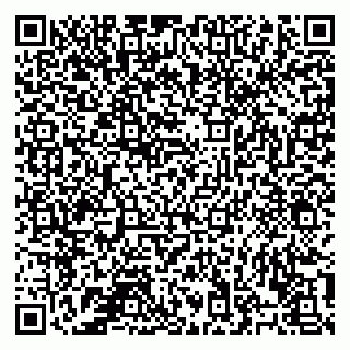 vCard 78122140389