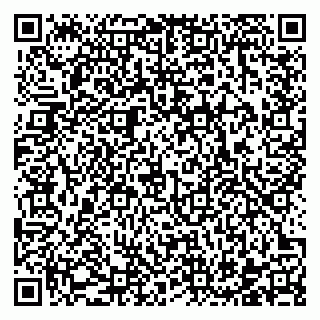 vCard 78122160199