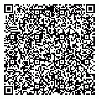 vCard 78122160281