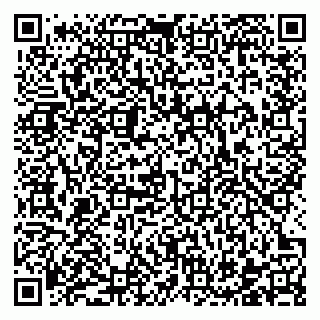 vCard 78122160284