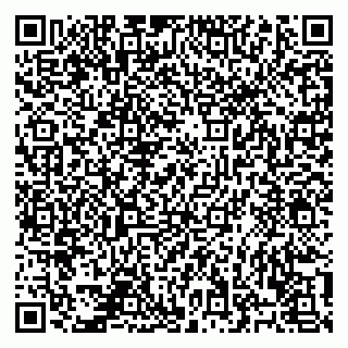 vCard 78122160285