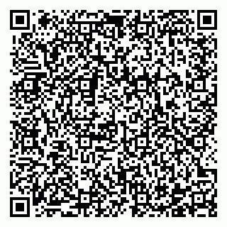 vCard 78122160295