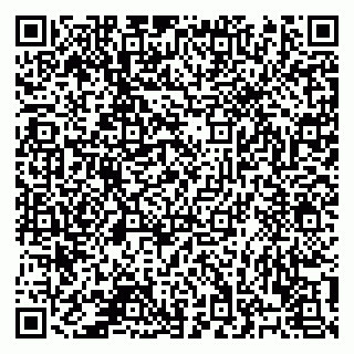 vCard 78122160304
