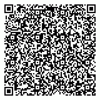 vCard 78122160313