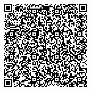 vCard 78122160320
