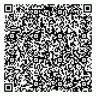 vCard 78122160381
