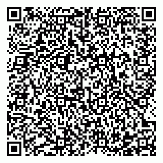 vCard 78122160384