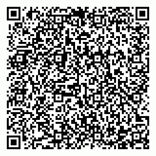 vCard 78122160387
