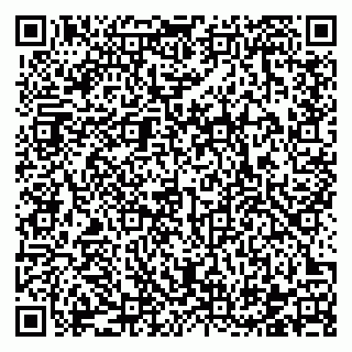 vCard 78122300379